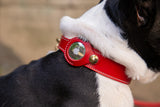 Florenze AirTag Leather Dog Collar