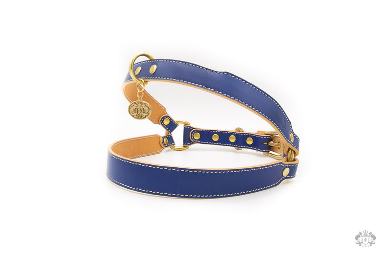 Ocean Blue Leather Dog Harness