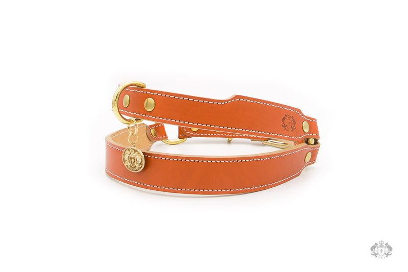 Sunset Orange Leather Dog Harness