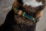 Cypress Green Leather Dog Harness