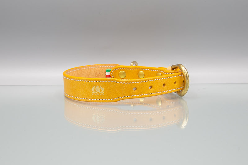 Sunflower Yellow Leather Dog Collar